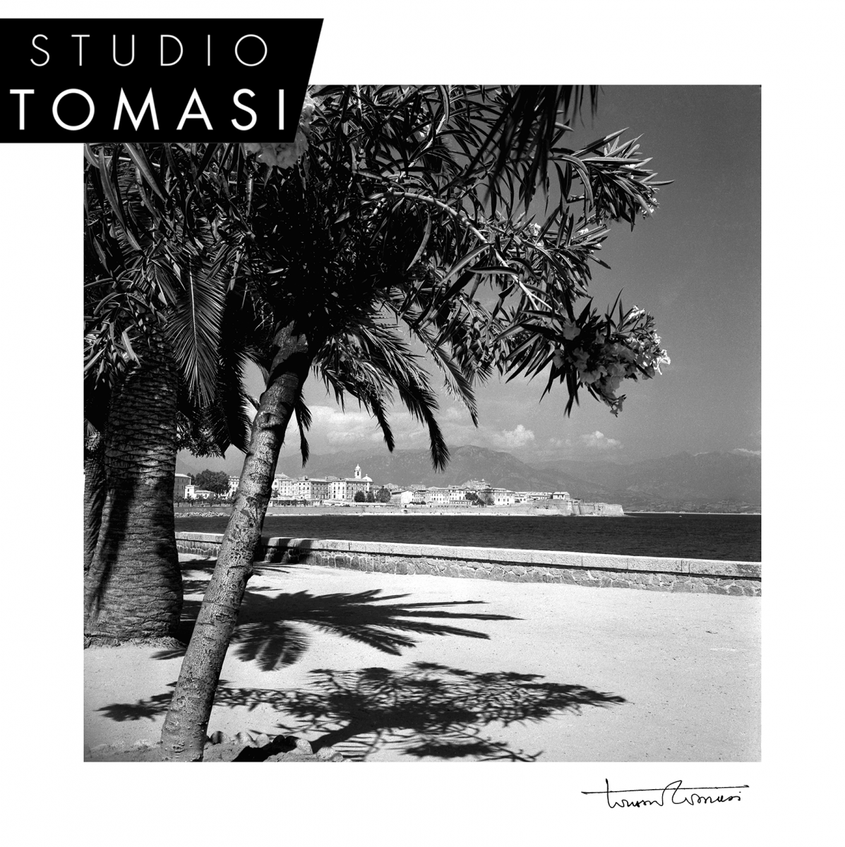 exposition-studio-tomasi