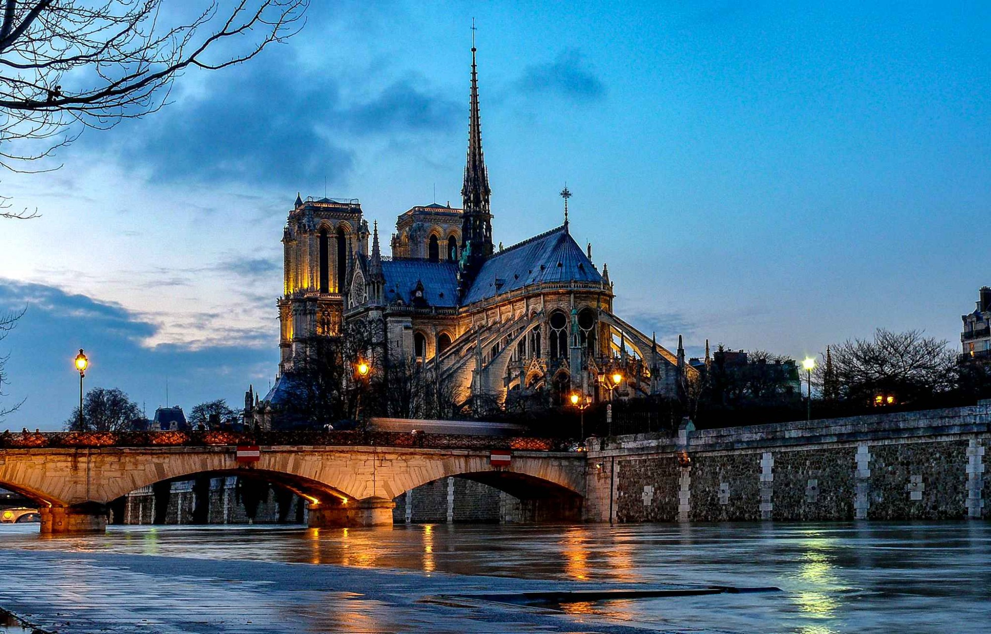 Notre Dame De Paris Le Ph nix Rena tra De Ses Cendres Art For 