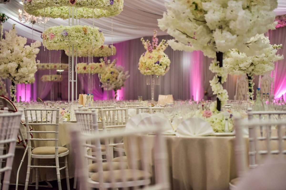 pic  - Mercure Maidstone Great Danes