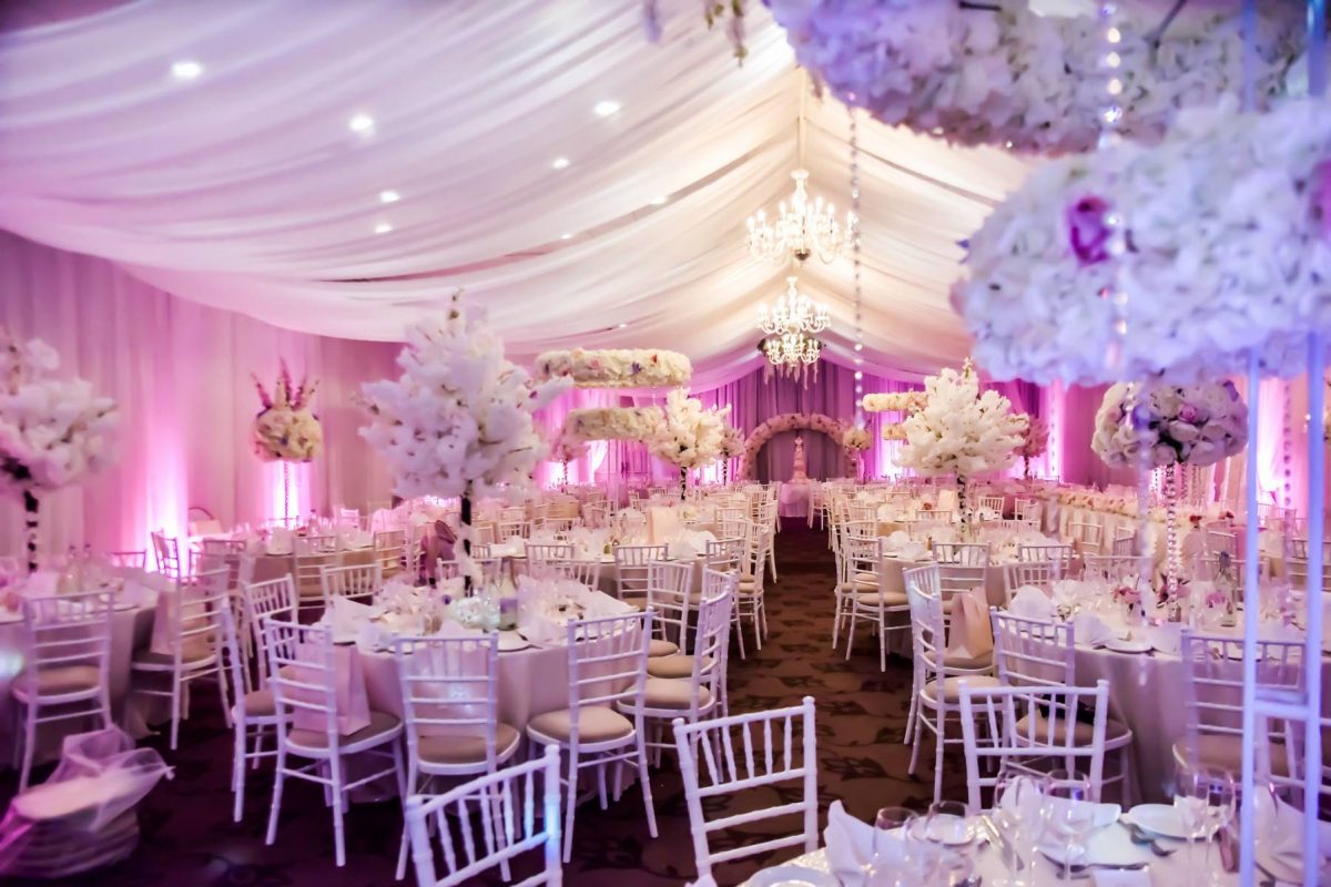 pic  - Mercure Maidstone Great Danes