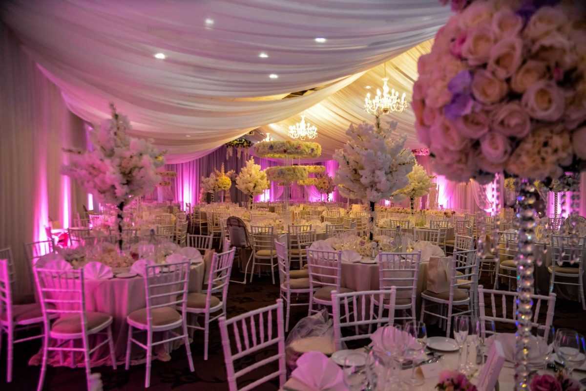 pic  - Mercure Maidstone Great Danes