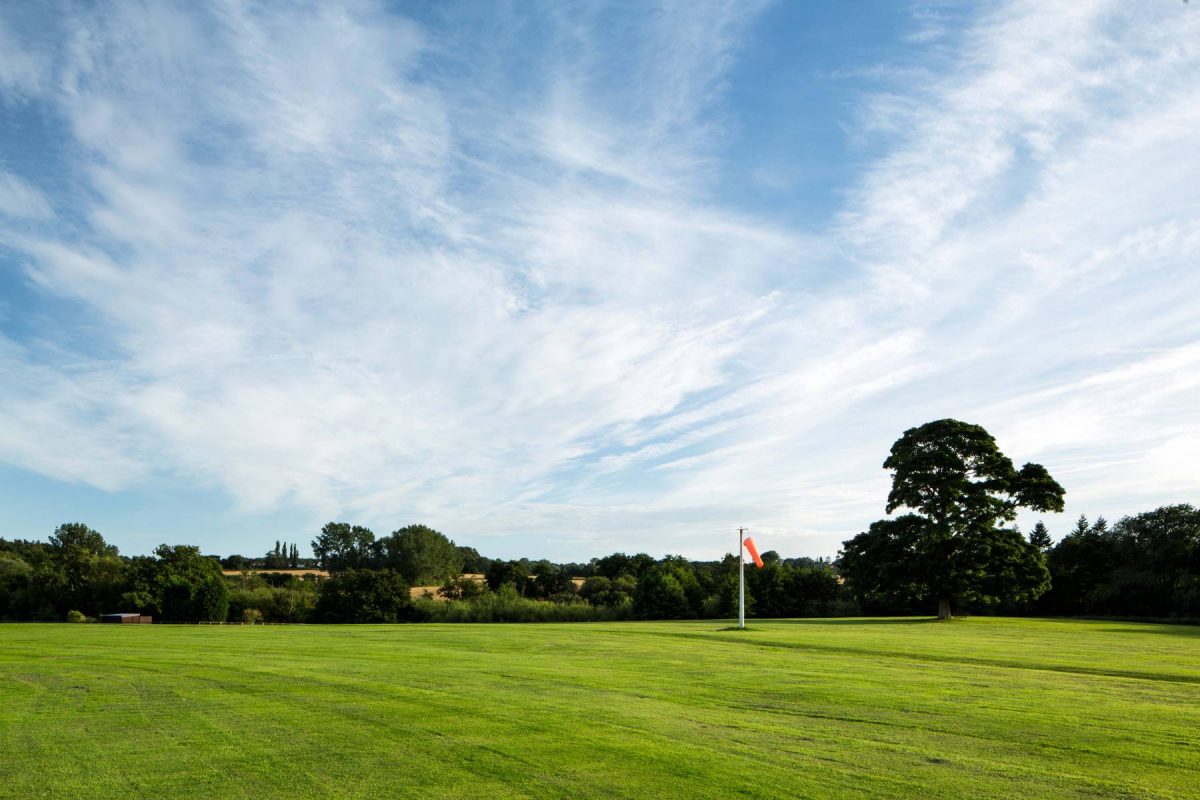 pic  - Mercure Maidstone Great Danes