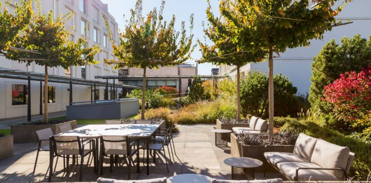 unser-garten-eine-gruene-ruheoase