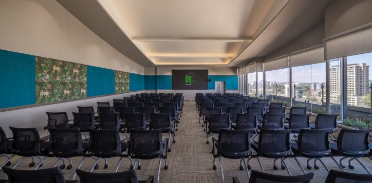 ibis-greenroom-3700-11