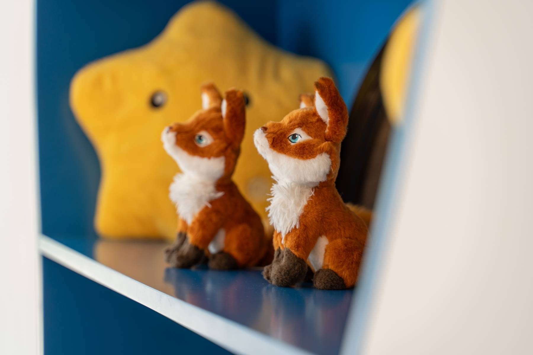 plan-the-perfect-family-escape