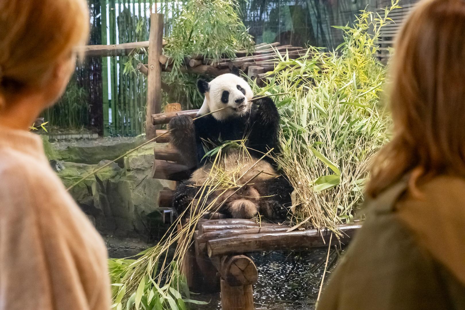 zoo-berlin