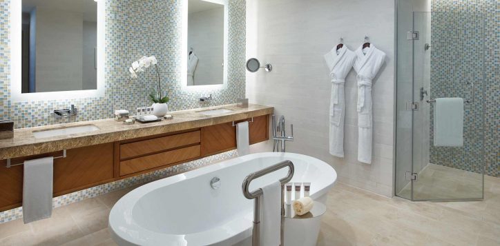 sag-deluxe-suite-bathroom-80891