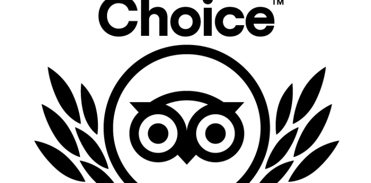 tc_2021_ll_transparent_bg_rgb-01