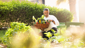 sustainability-initiatives