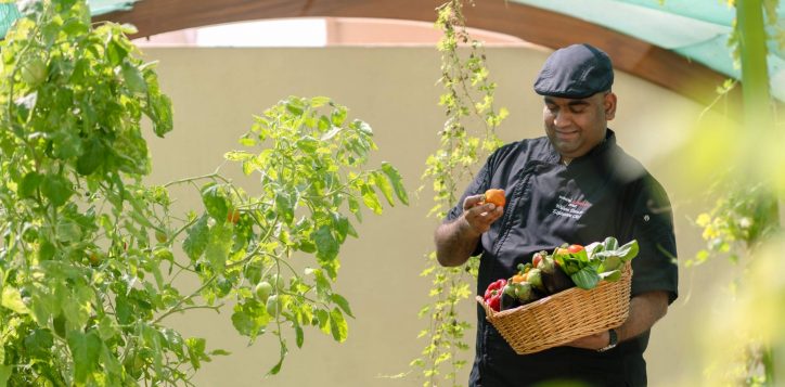 h1p8_chef_in_swiss_garden_1