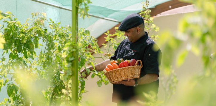 h1p8_chef_in_swiss_garden_3