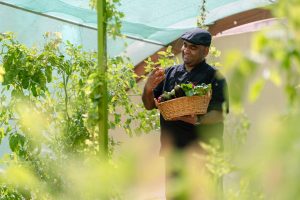 sustainable-dining-zero-waste-practices