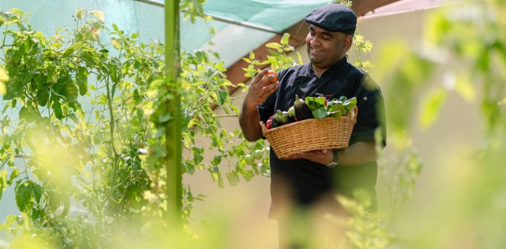 h1p8_chef_in_swiss_garden_2-2