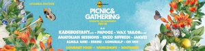 picnic-gathering