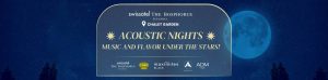 acoustic-nights