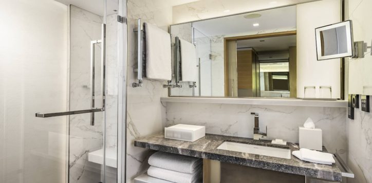 swiss-advantage-room-4-2