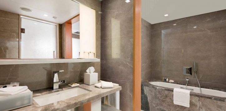 deluxe-suite-bathroom-2