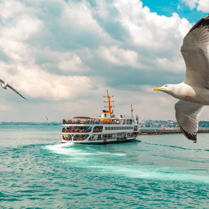 the-ferry-as-an-istanbul-habit