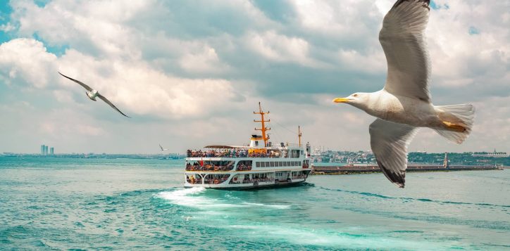 shutterstock_2172882091