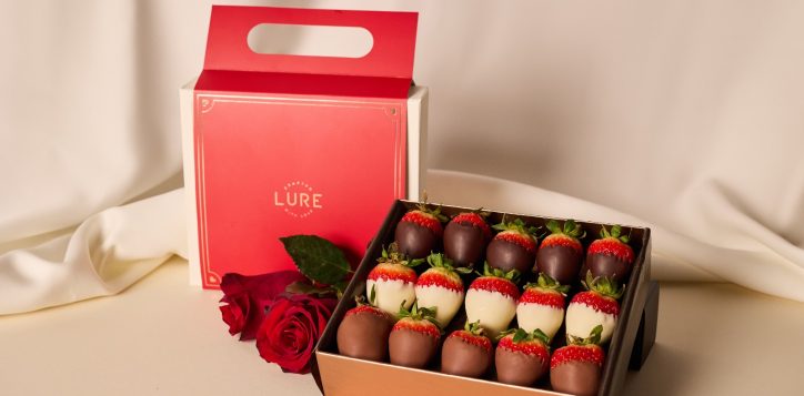 whatsapp-image-2026-02-05-at-12-32-13-1