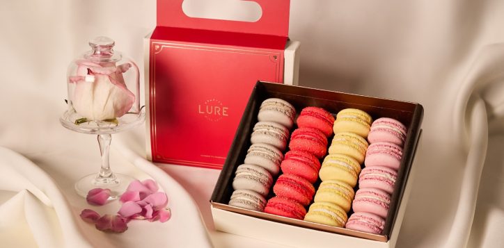 whatsapp-image-2026-02-05-at-12-32-13