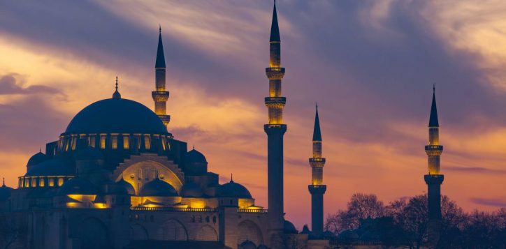 shutterstock_2716845053