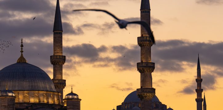 shutterstock_2715182639-resized-to-1800x1200