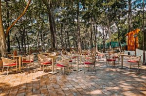 why-are-outdoor-celebrations-so-popular-in-istanbul