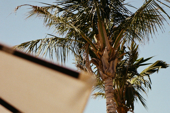 laguna-beach-lounge
