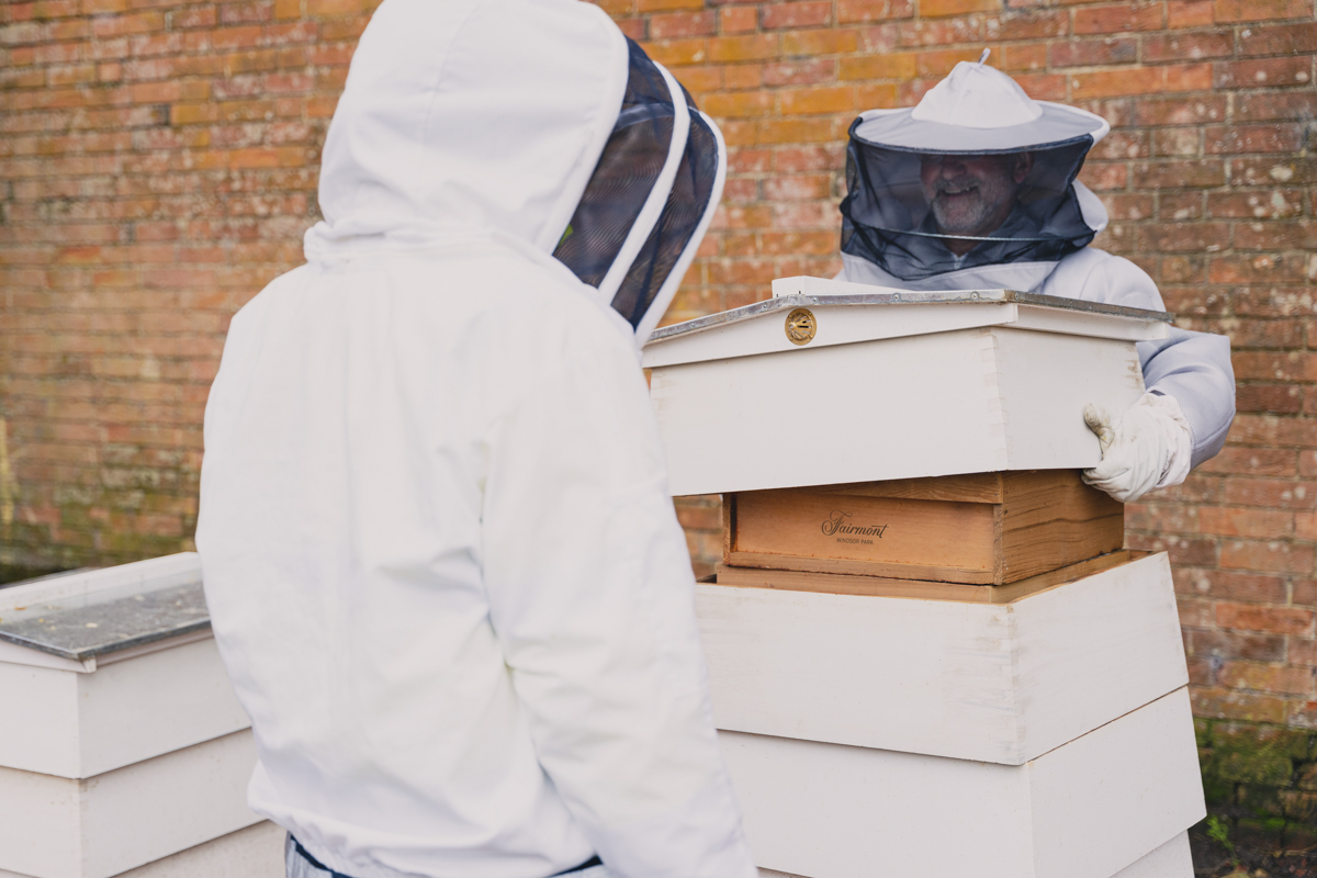 Beehives at Fairmont Windsor Park's Walled Garden fresh honey sustainable initiative