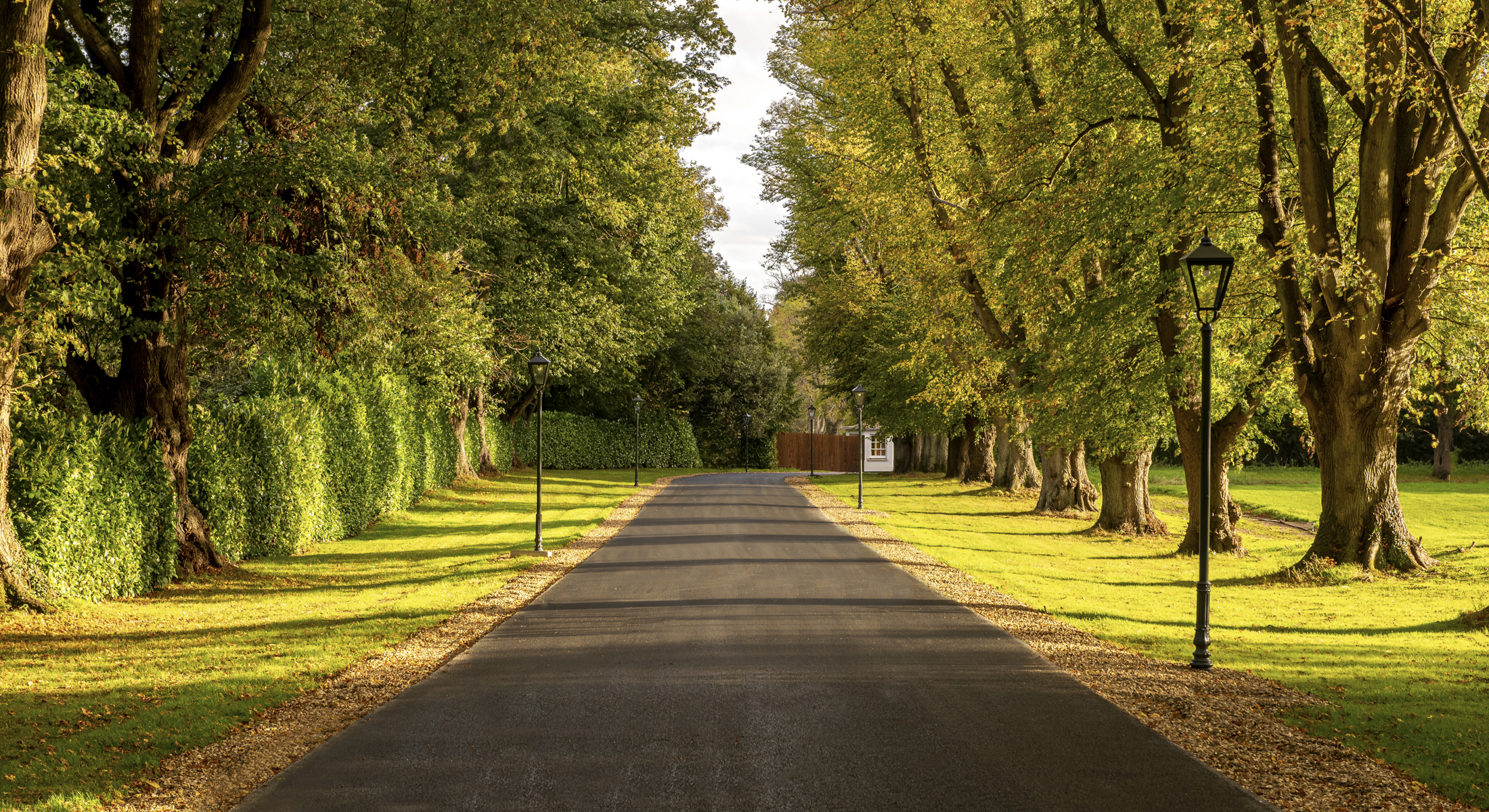 Fairmont Windsor Park Driveway