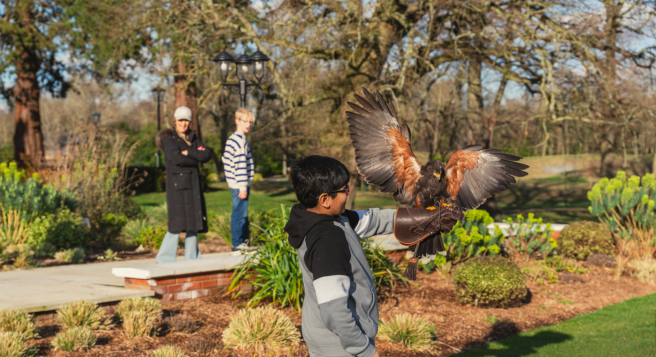 Fiamront WIndsor Park kid's Children activities falconry display