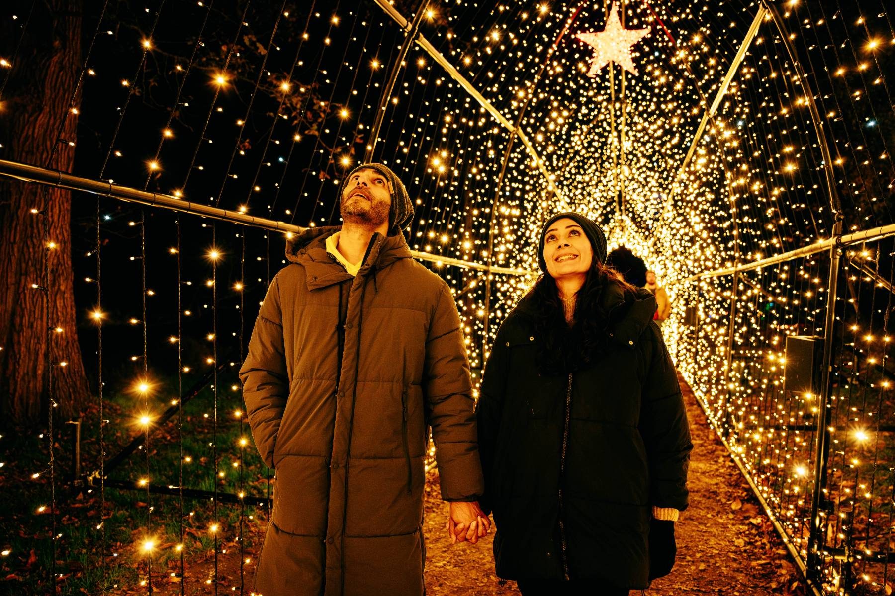 Windsor-Great-Park-Illuminated_2024_14th-November-2024_Joshua-Atkins-121