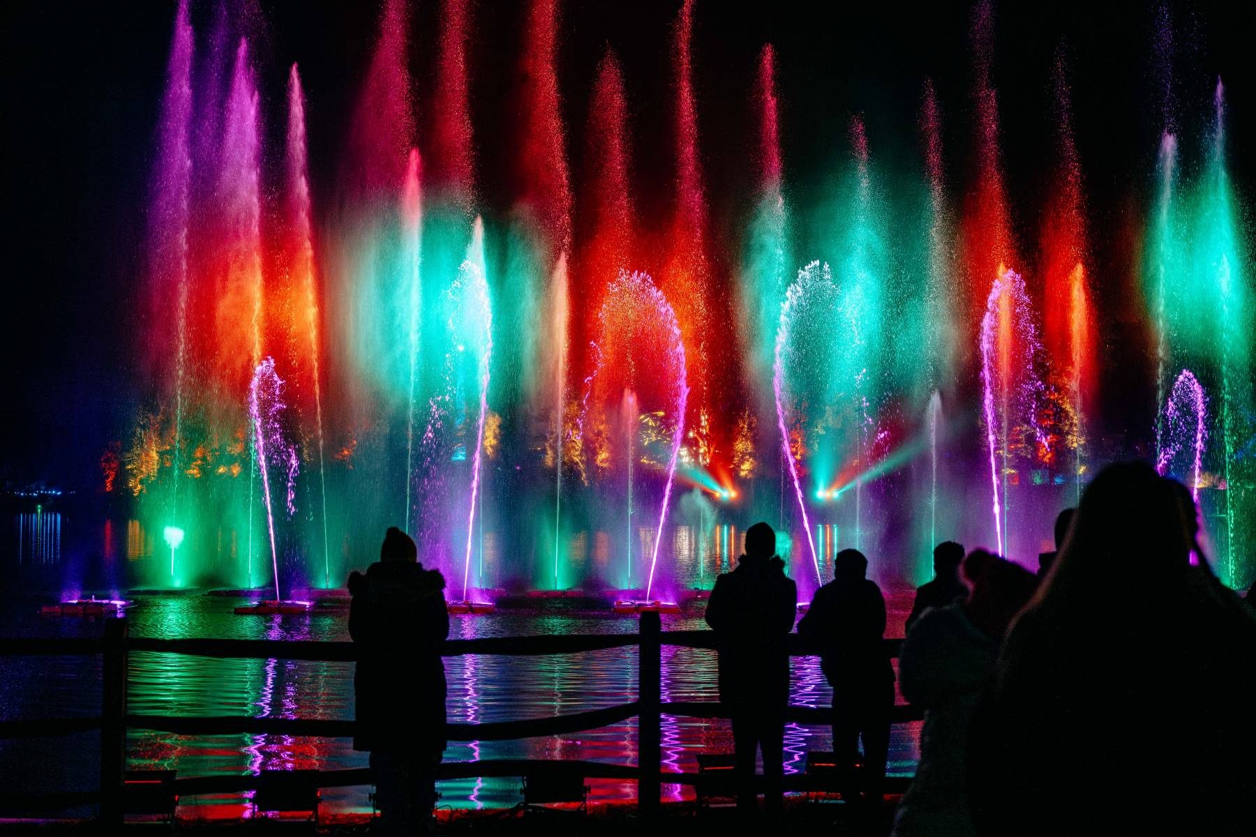 Windsor-Great-Park-Illuminated_2024_14th-November-2024_Joshua-Atkins-145