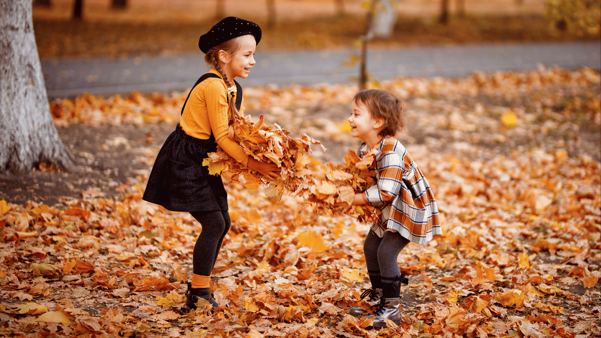 Autumn Half Term Activities