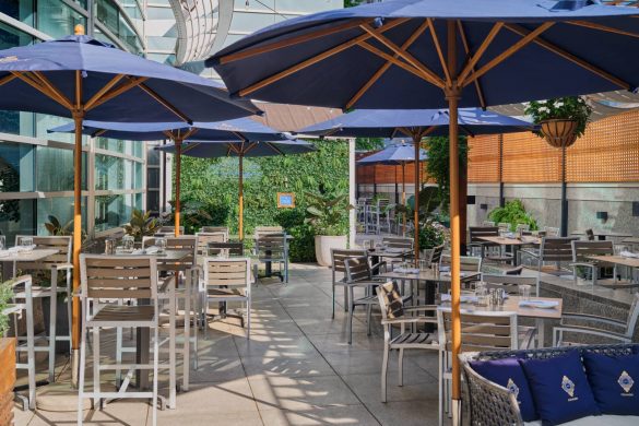 la-terrasse-du-renoir
