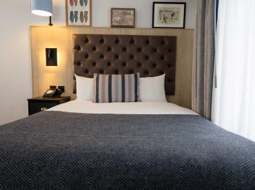 dog-friendly-room