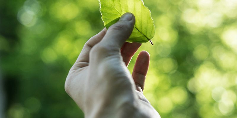 sustainability-commitment