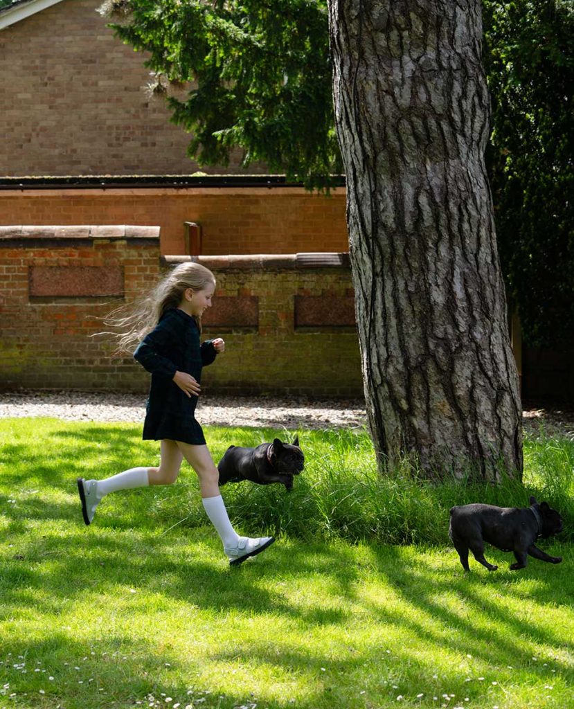 Dog Friendly Hotels