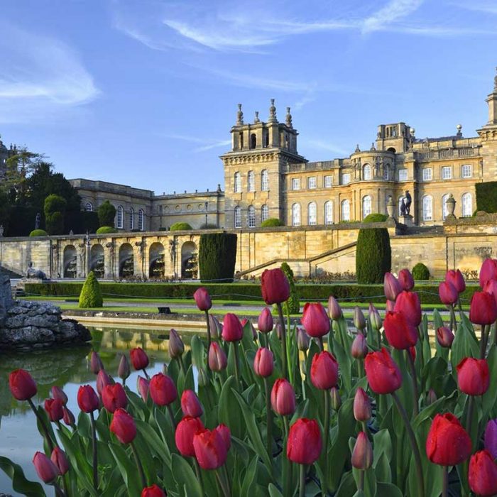 christmas-at-blenheim-palace