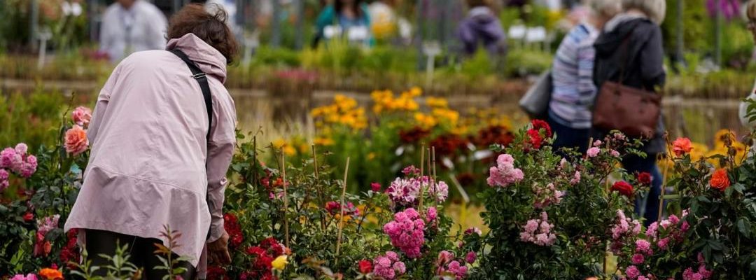 flower-show-2026-at-blenheim-palace