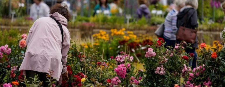 flower-show-2026-at-blenheim-palace