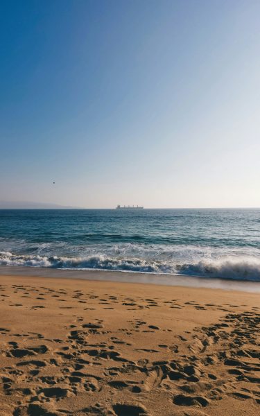 vina-del-mar-un-destino-vibrante-a-orillas-del-pacifico