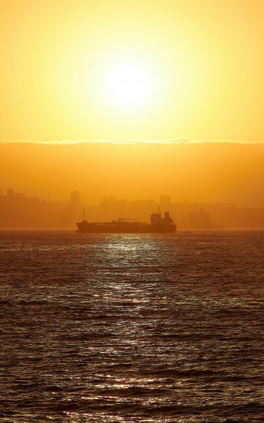 vina-del-mar-un-destino-vibrante-a-orillas-del-pacifico