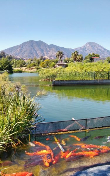 parques-a-visitar-en-santiago-de-chile