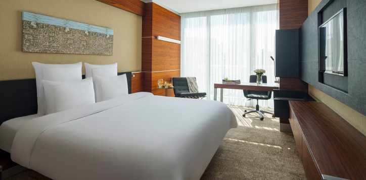 swissotel-buyuk-efes-izmir-classic-room_city_view