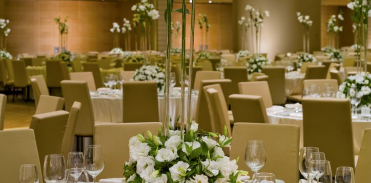 grand-efes-ballroom-swissotel-buyuk-efes-izmir-1