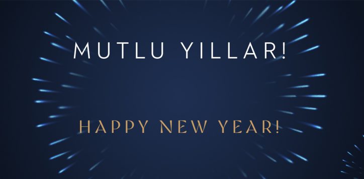 2024_giris_sayfa_web_festive_season1
