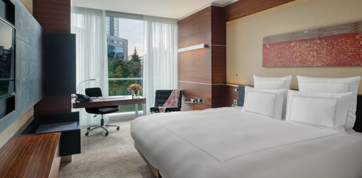 advantage_room_city_double-buyuk