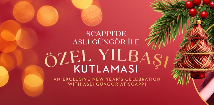 2025_asli-gungor-web_festive_season